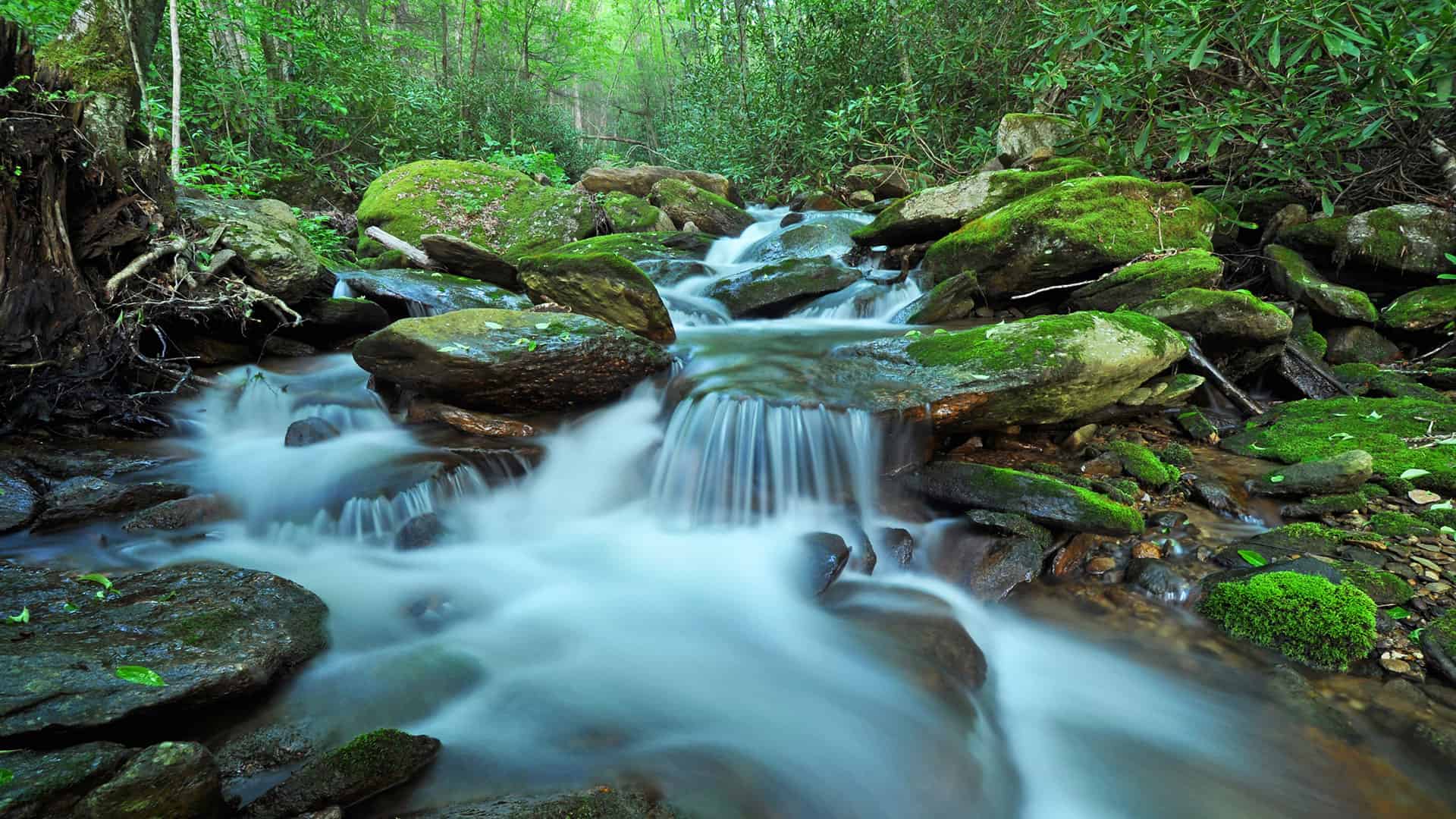 Elk River Club Elk River NC Gated Community