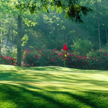 elk river club golf course, red flag in middle of green