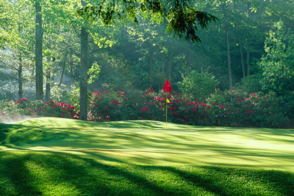 elk river club golf course, red flag in middle of green