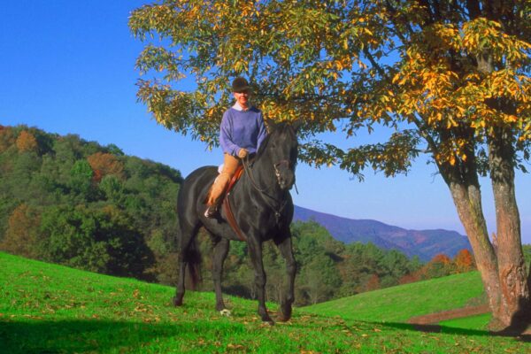 equestrian facility in banner elk, woman on a horse