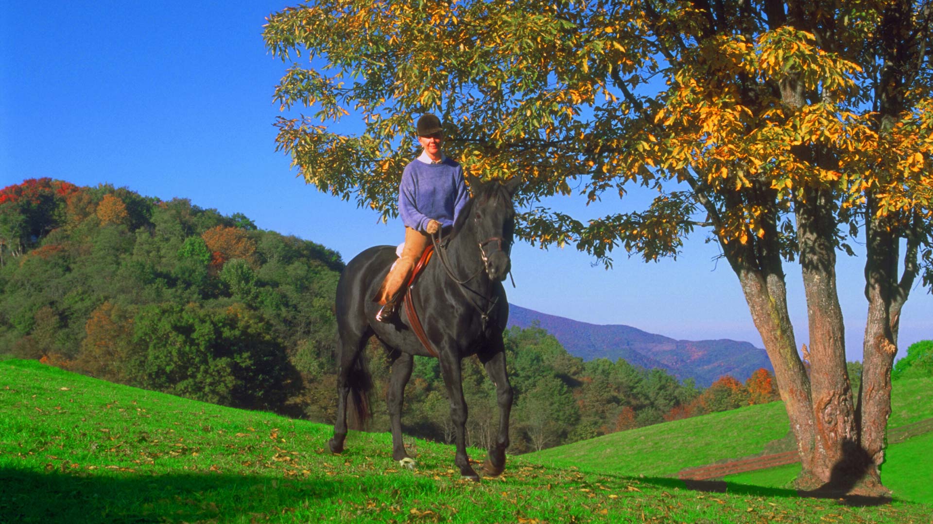 Elk River Club Elk River NC Gated Community