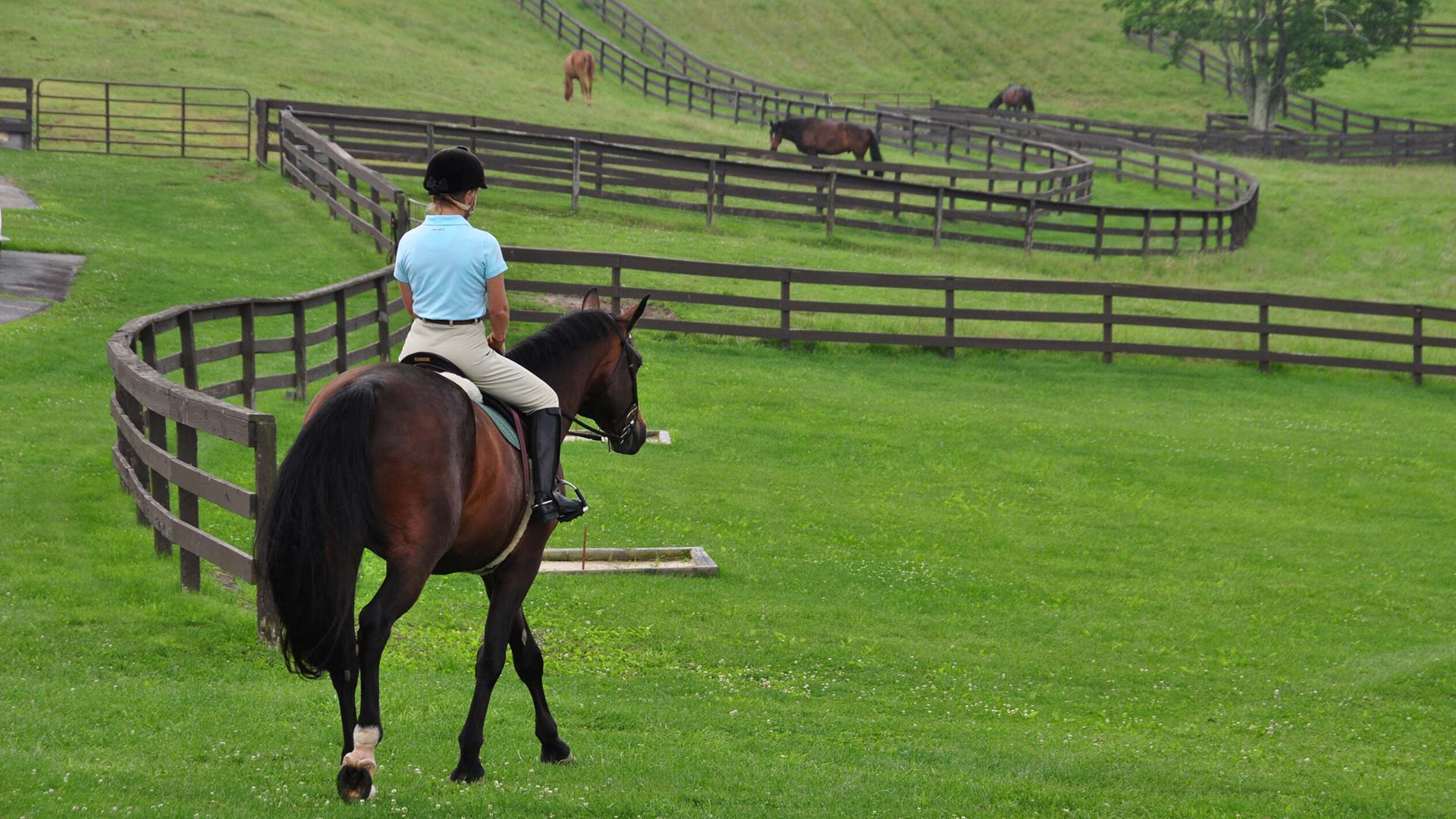 Horseback Riding Elk River Club